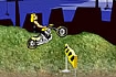 Thumbnail of Moto Rallye Game